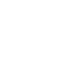 SailGP Plus Logo White